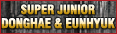 SUPER JUNIOR�@DONGHAE & EUNHYUK